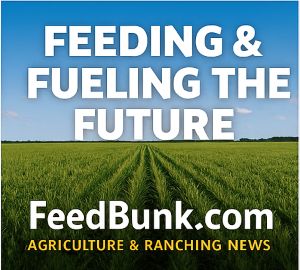 Feed Bunk